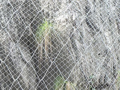 主動型邊坡防護網